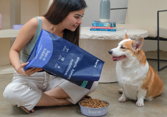 The Ultimate Guide to the Best Dry Dog Food: What You Need to Know - Barepets